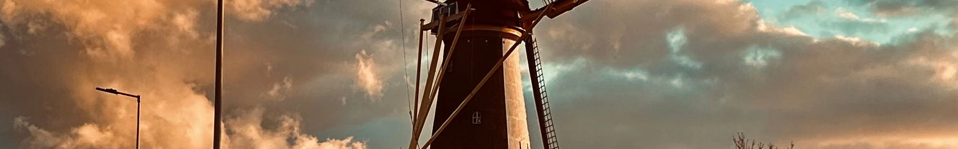cover-image